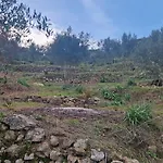 Archontoula's *