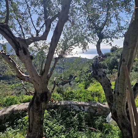 Σπίτι διακοπών Archontoula's